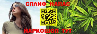 стафф Лесосибирск