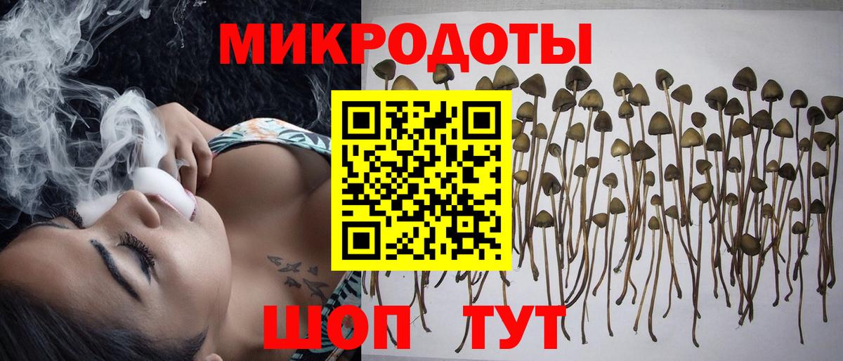 Псилоцибиновые грибы Psilocybine cubensis  Вход с VPN  Усинск  Галлюциногенные грибы Psilocybe 